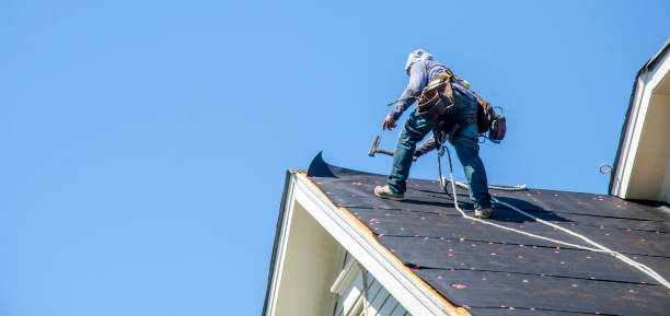 Roof Gutter Cleaning in Iron River, MI